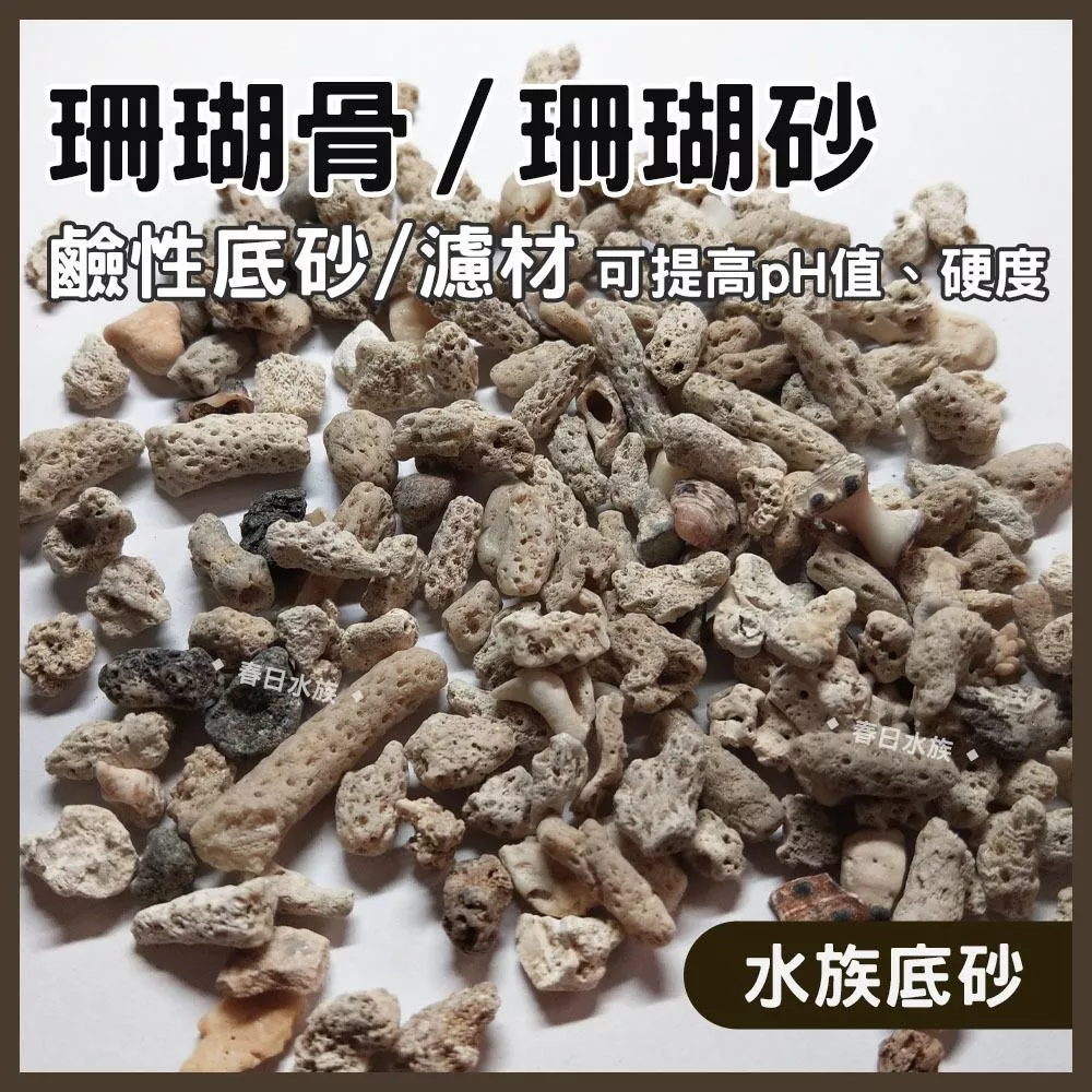 珊瑚砂 珊瑚骨 天然底砂 底砂 穩定水質 提高硬度 KH 弱鹼 海水缸 濾材 海水 ph PH值 硬度 鈣
