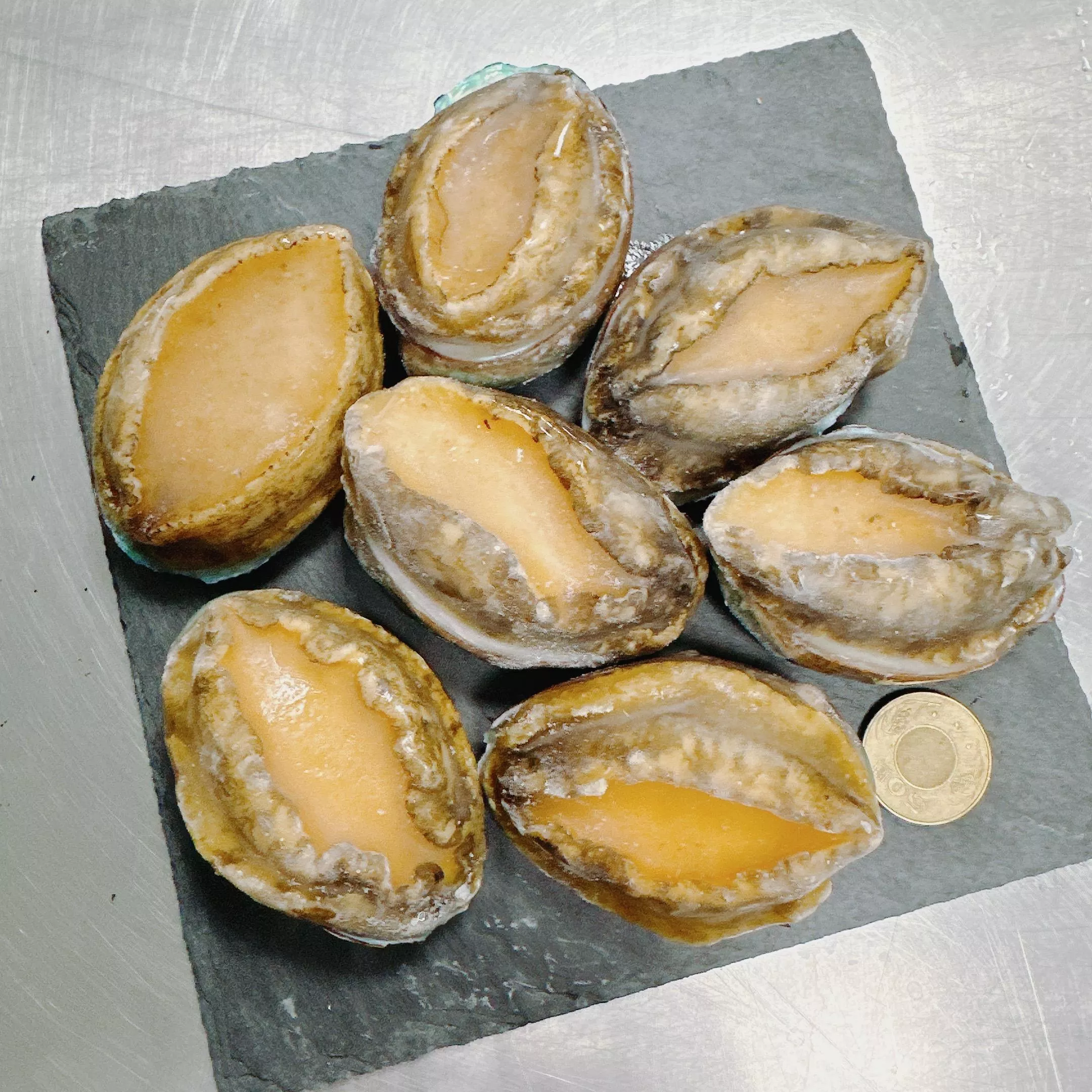 帶殼大鮑魚1公斤14粒裝