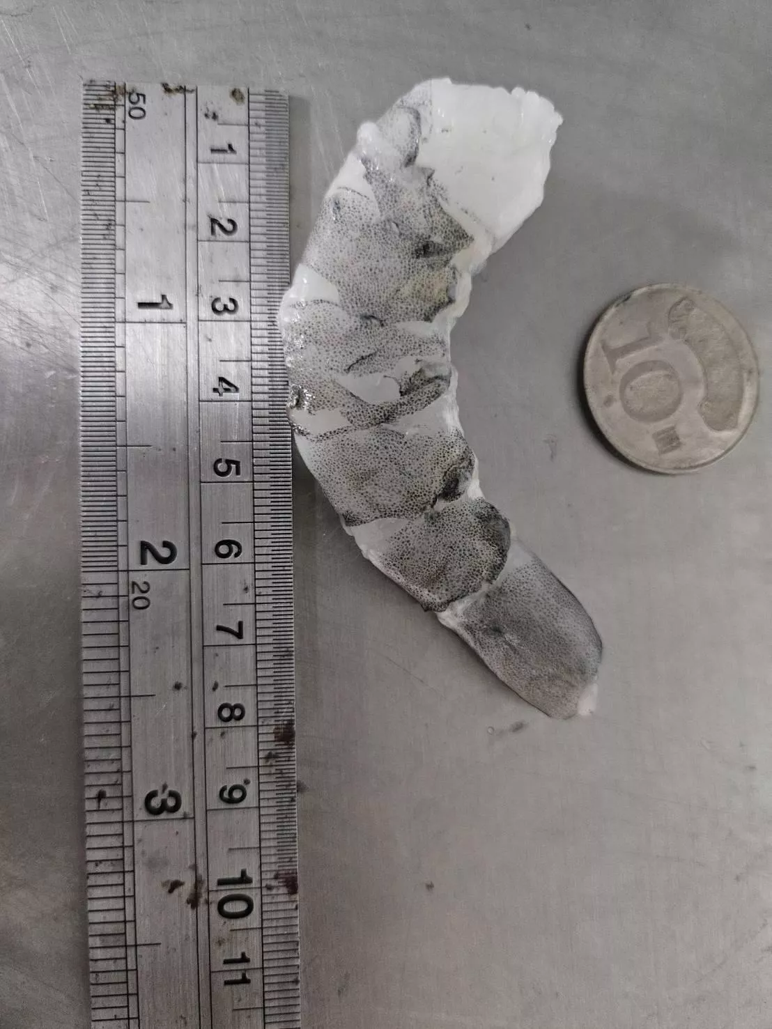 手剝無泡藥開背蝦仁(L) 150公克