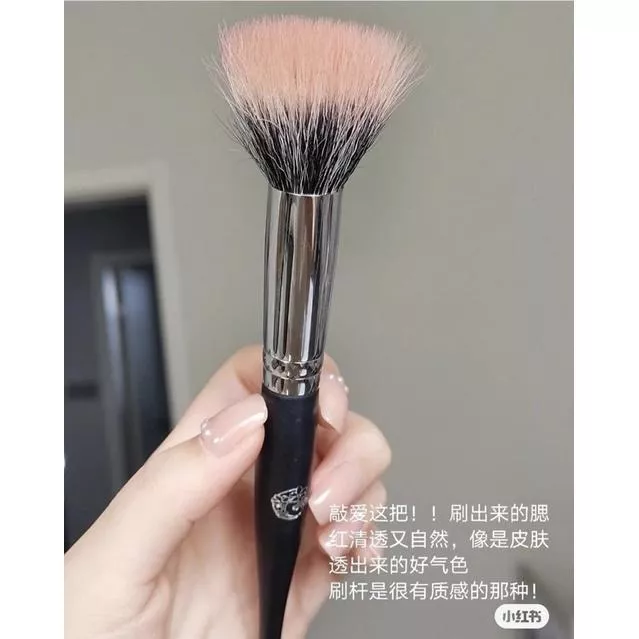 艾諾琪點彩刷｜純欲氛圍感💗絕對比一般腮紅刷上出來好看!!