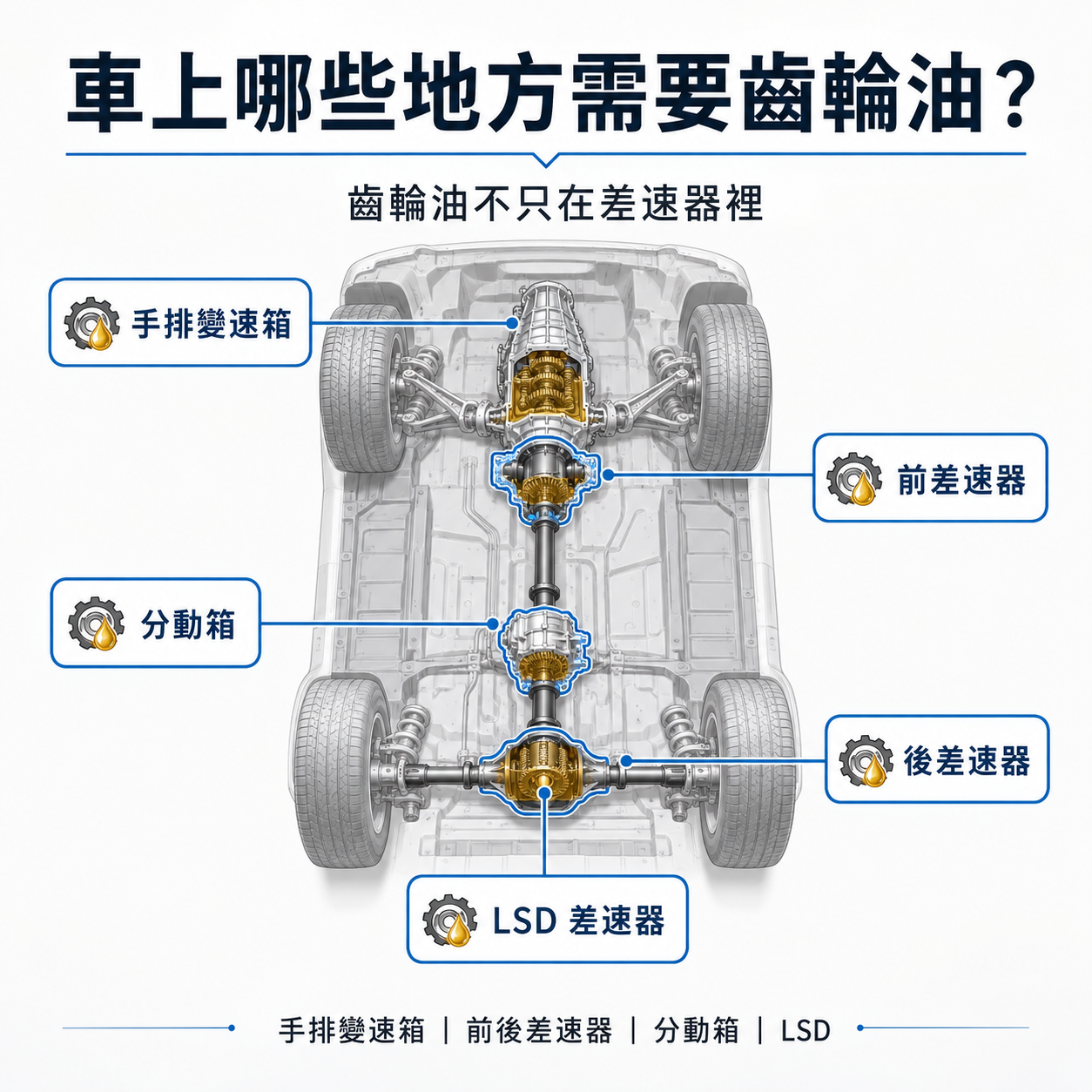 車底傳動系統示意圖，標示手排變速箱、前後差速器、分動箱與 LSD 需要齒輪油的位置