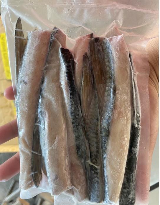 魚嶺(魚背鰭)