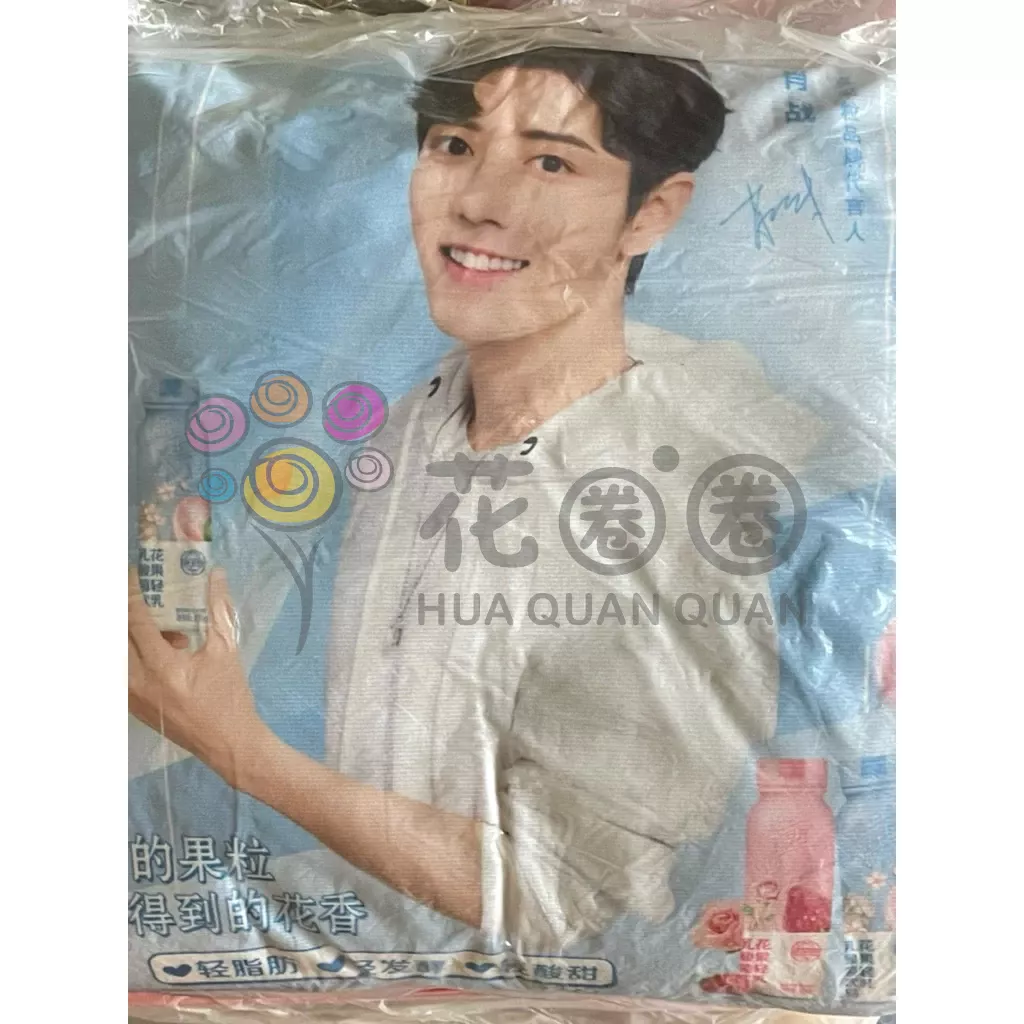 肖戰 真果粒新款立牌 鑰匙圈 帆布袋 抱枕