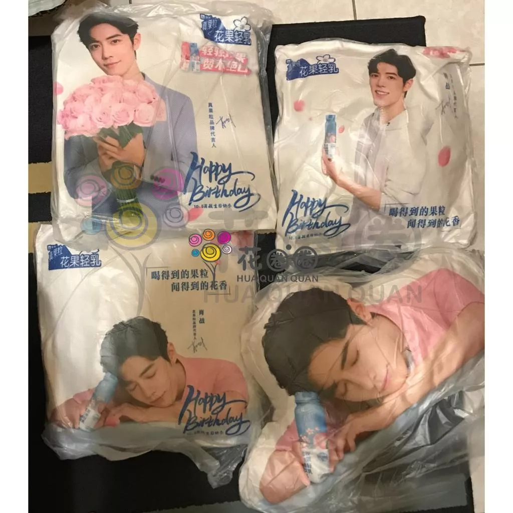 【餘量出完就沒了】肖戰  真果粒生日周邊 手幅 鑰匙圈 抱枕 戰戰