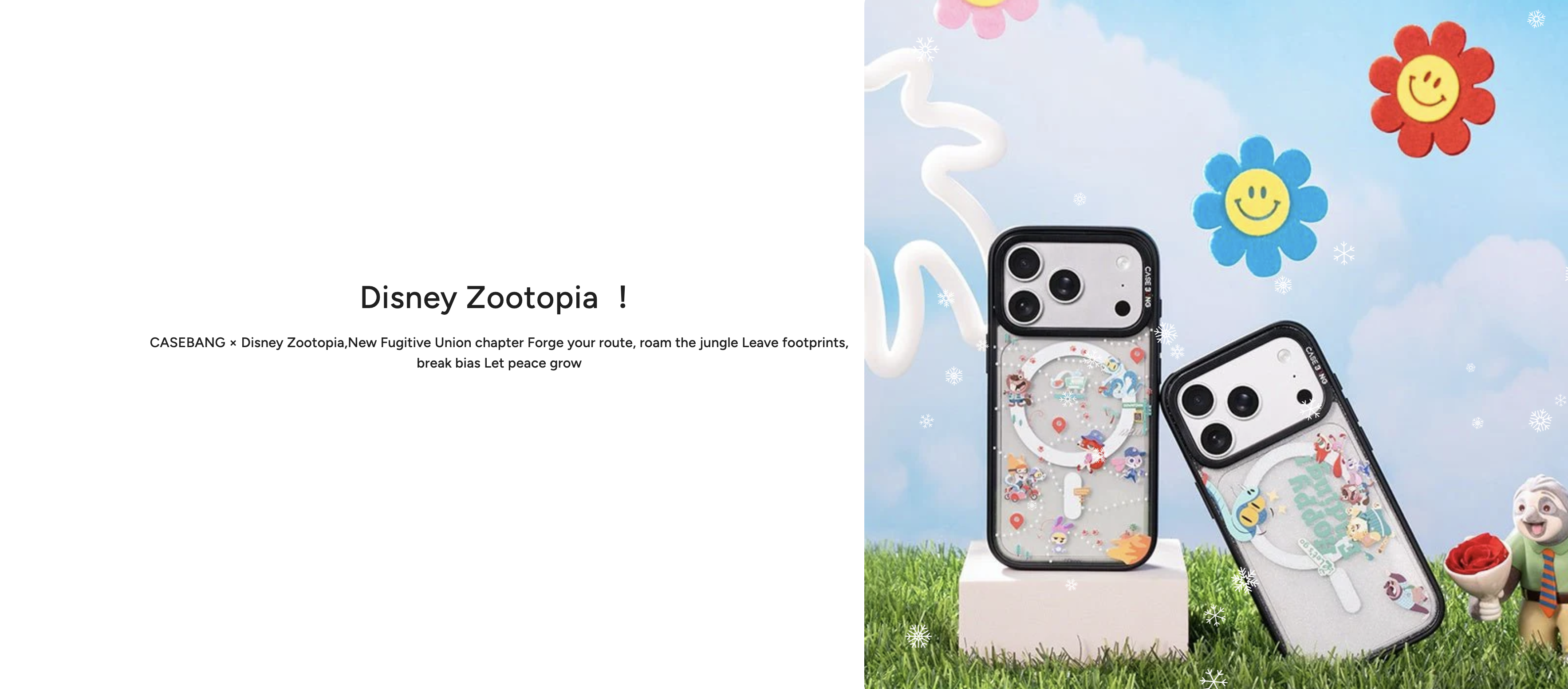 CASEBANG iPhone CASE