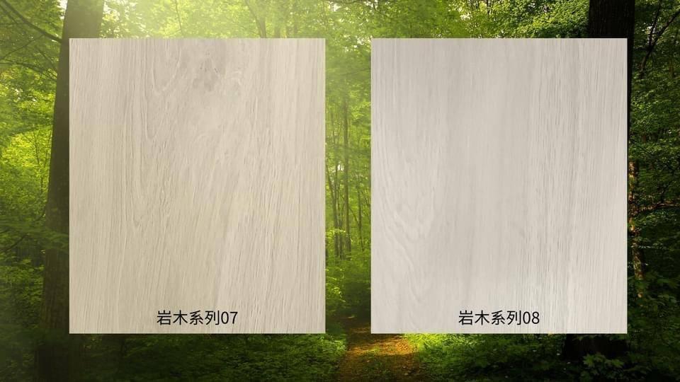 岩木系列