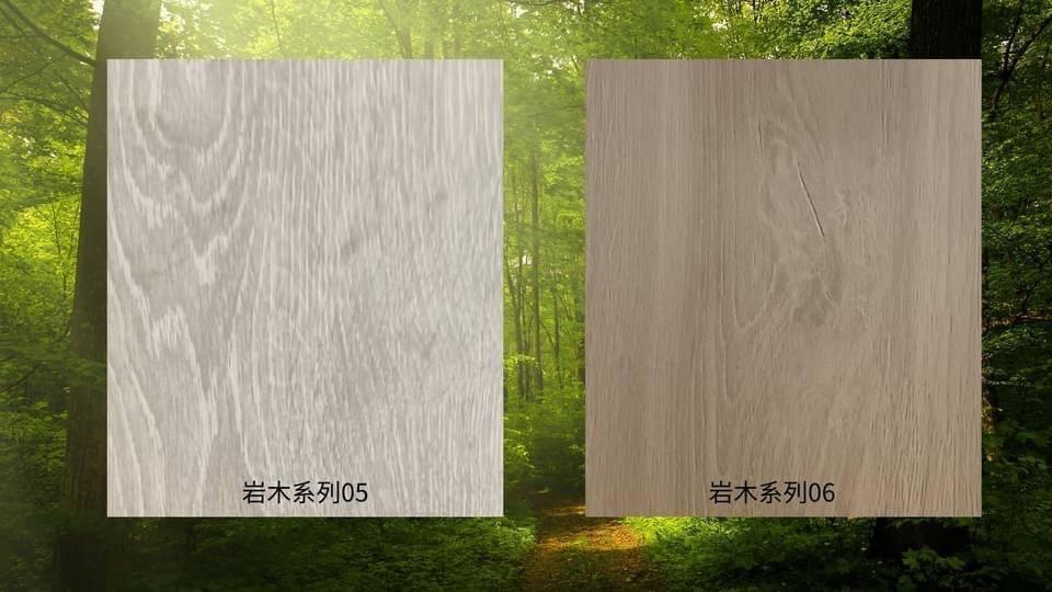 岩木系列