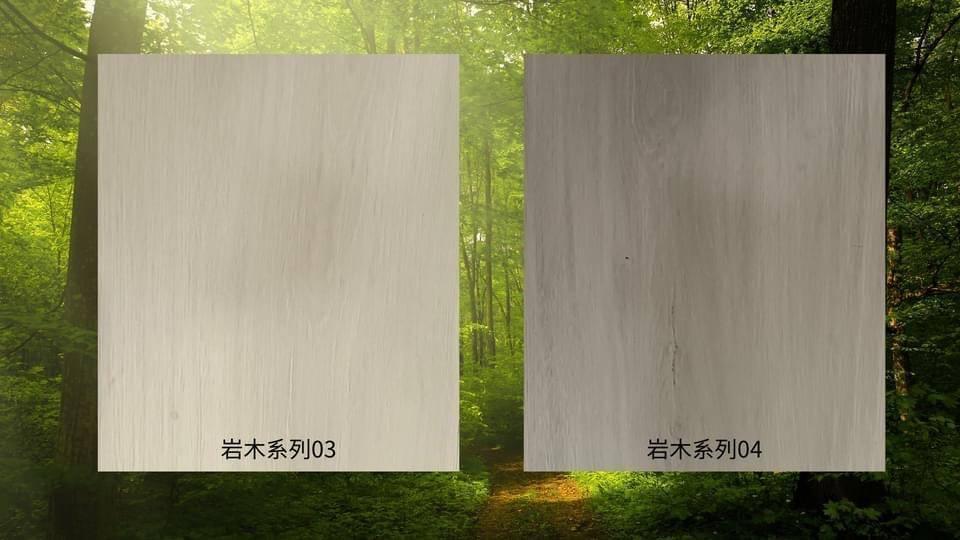 岩木系列