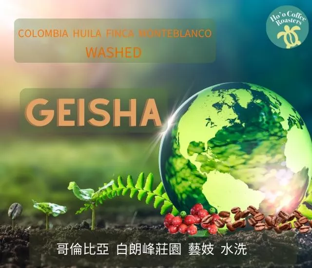 哥倫比亞 白朗峰莊園 水洗藝妓 (浸式包)