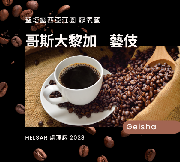 哥斯大黎加 Gsisha厭氧蜜