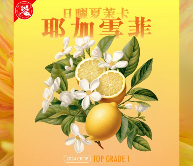 2024 日曬夏茉卡 | TOP G1 | 紅圈計畫 | 耶加雪菲