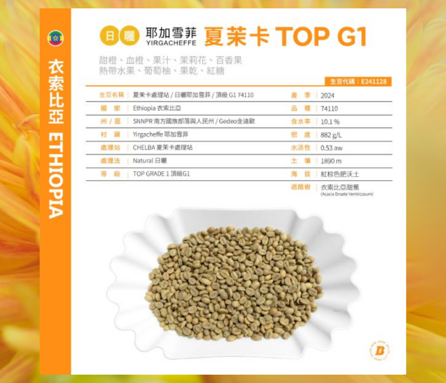 2024 日曬夏茉卡 | TOP G1 | 紅圈計畫 | 耶加雪菲