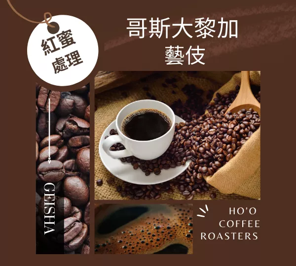 哥斯大黎加 塔拉珠  紅蜜藝伎