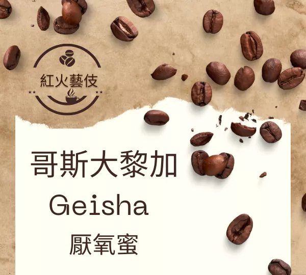 哥斯大黎加 Gsisha厭氧蜜