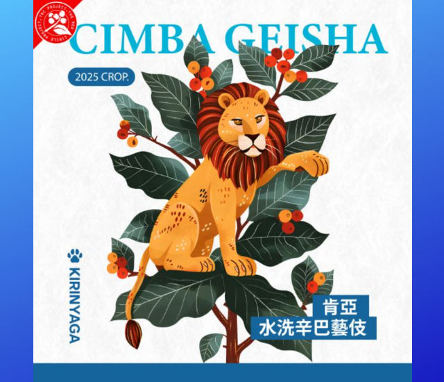 肯亞  辛巴藝伎 水洗