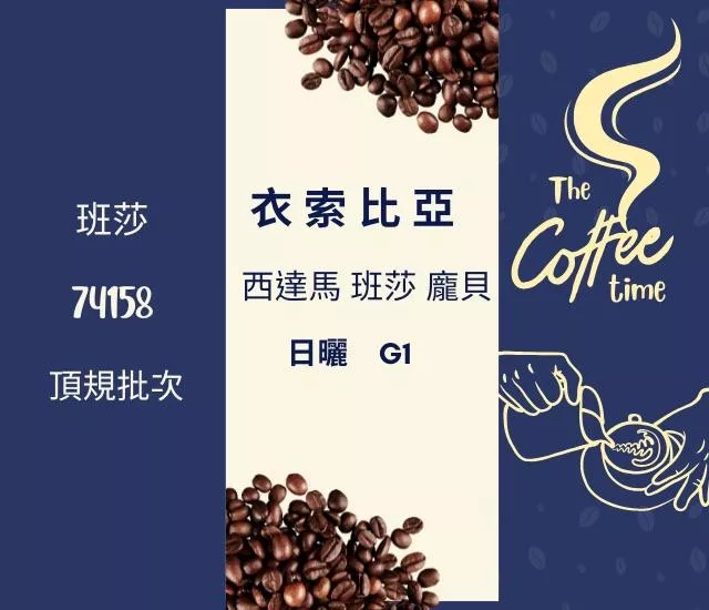 衣索比亞 西達摩 斑莎