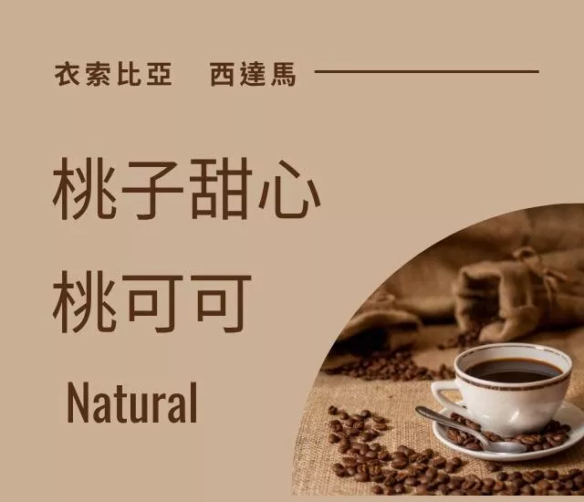 衣索比亞 西達摩 桃子甜心/桃可可