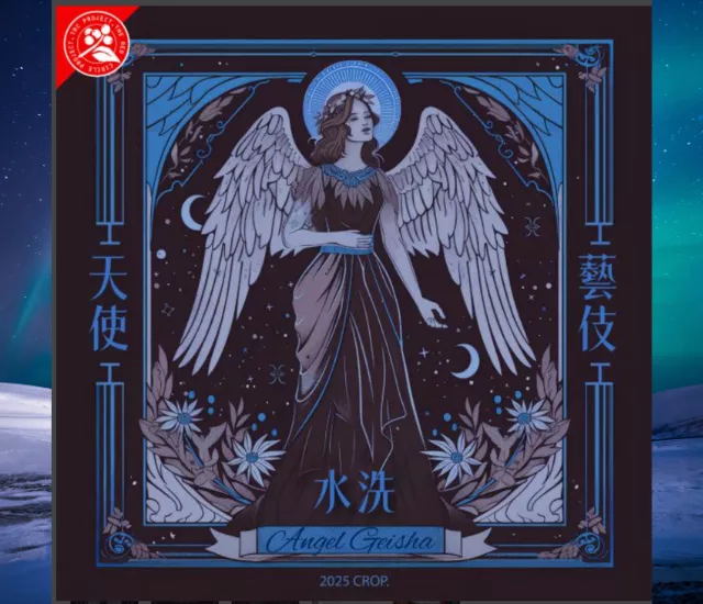 天使的禮物 – 果丁丁藝伎