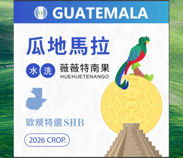 瓜地馬拉/ 薇薇特南果 / 水洗