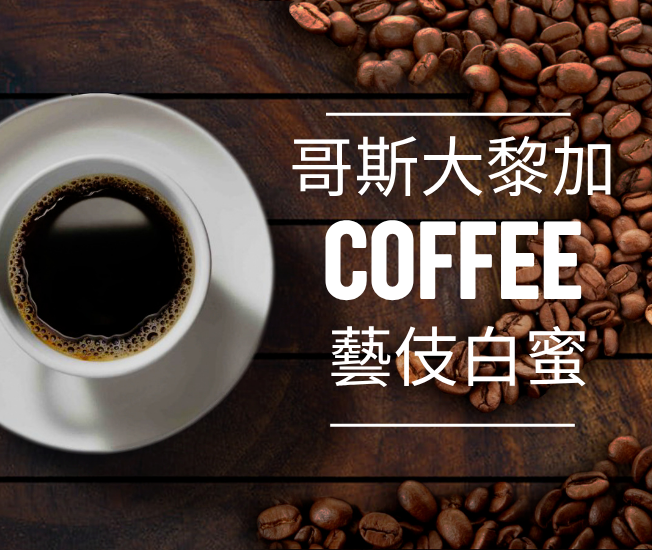哥斯大黎加  舒瑪微藝伎  白蜜處理
