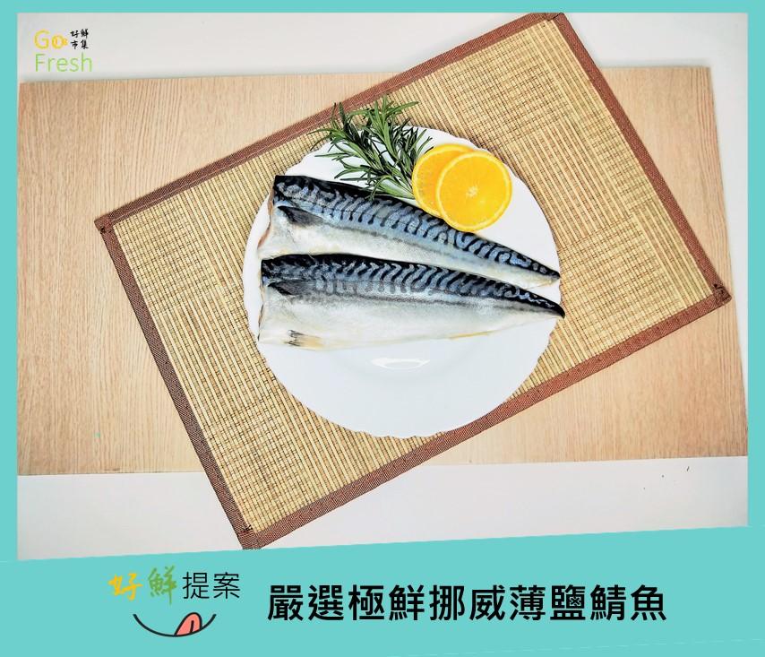 嚴選極鮮挪威薄鹽鯖魚21件免運組