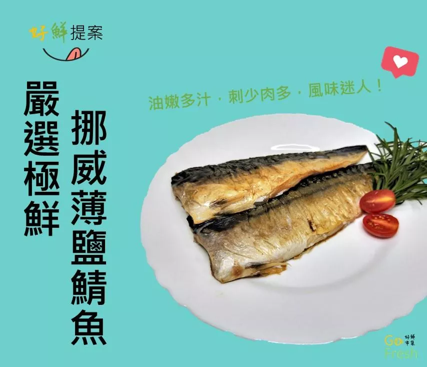 嚴選極鮮挪威薄鹽鯖魚21件免運組