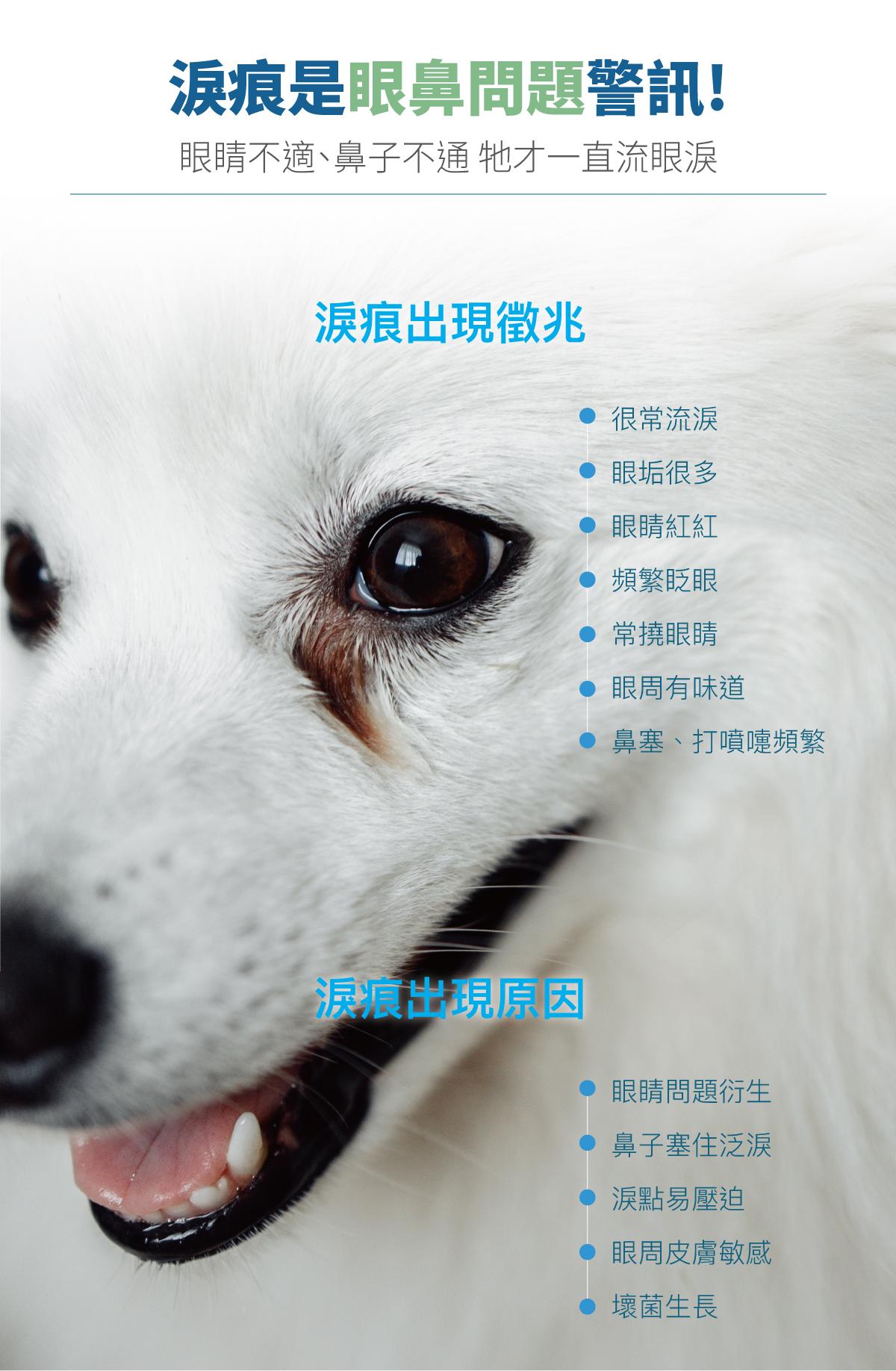 【木入森 MORESON 犬貓用痕淨白】淚腺 淚痕 眼睛 台灣 貓保健品 狗保健品 貓 狗 保健品