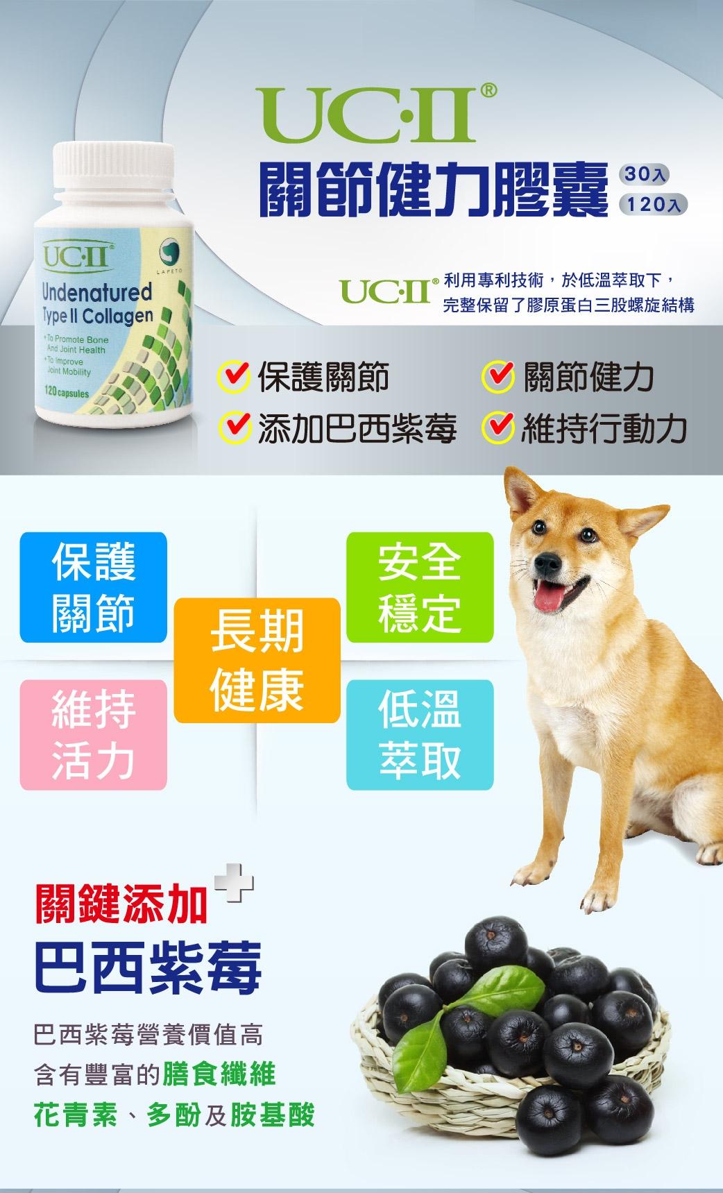 【樂倍多 Lapeto UC-II 非變性二型膠原蛋白】UCII 膠原蛋白 關節 台灣 狗 保健品