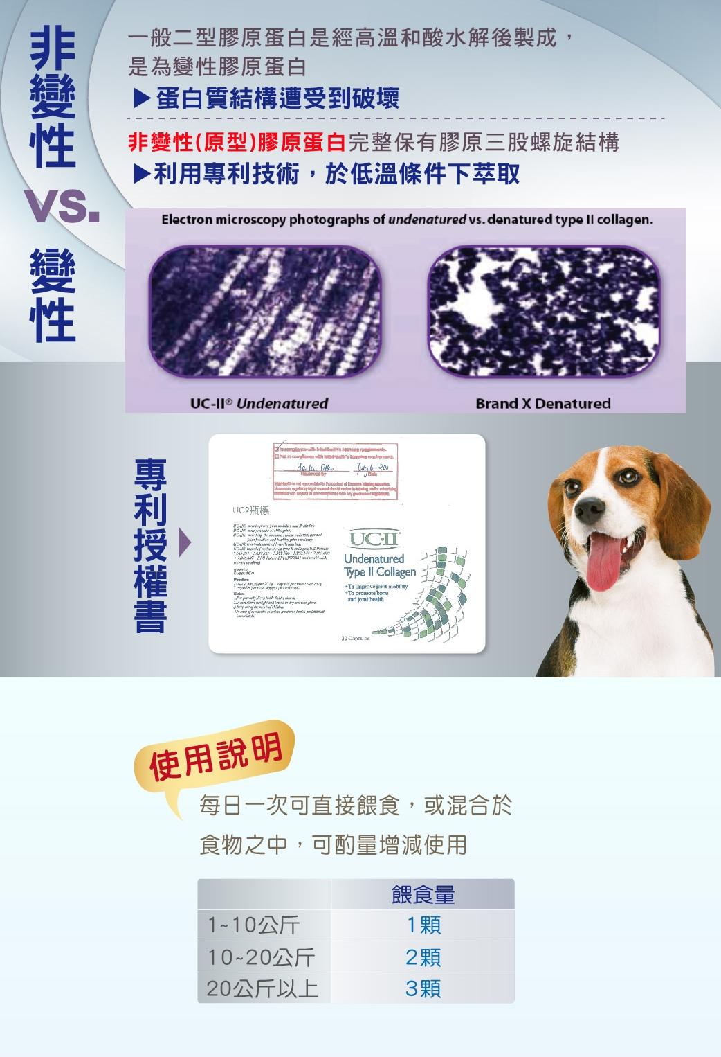 【樂倍多 Lapeto UC-II 非變性二型膠原蛋白】UCII 膠原蛋白 關節 台灣 狗 保健品