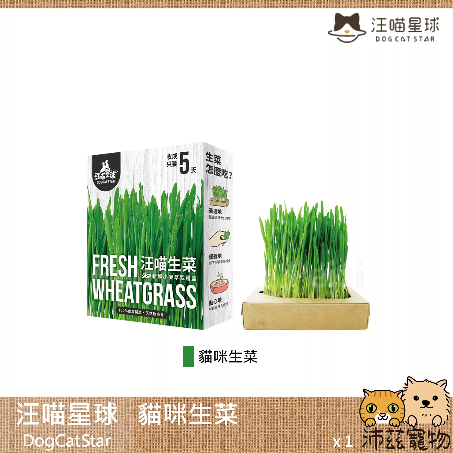 【汪喵星球 DogCatStar 貓咪生菜】小麥草 貓草 貓薄荷 貓零食 貓 零食