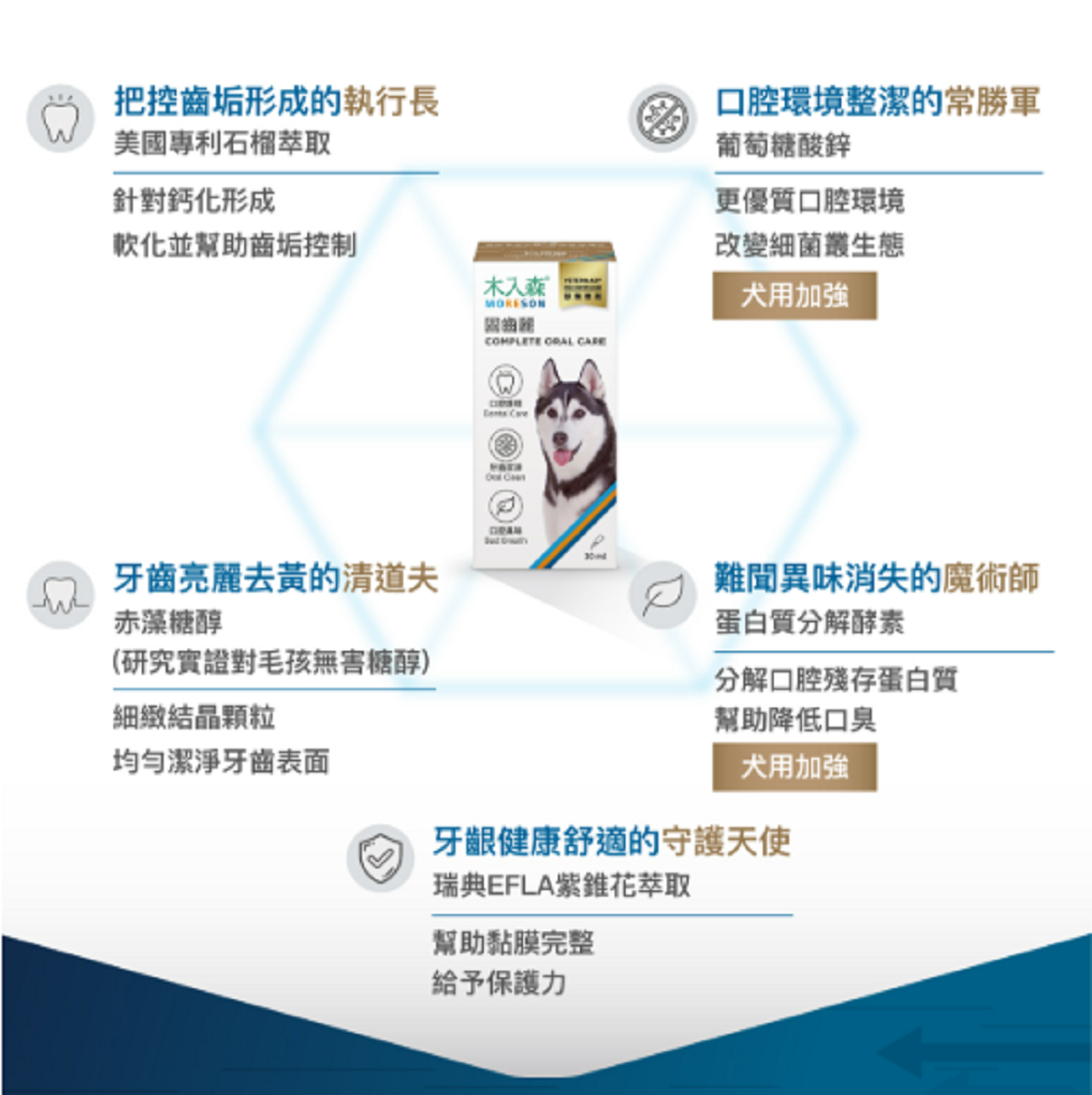 【木入森 MORESON 犬貓固齒麗】潔牙水 潔牙錠 牙齒清潔 口臭 台灣 貓 狗 清潔用品