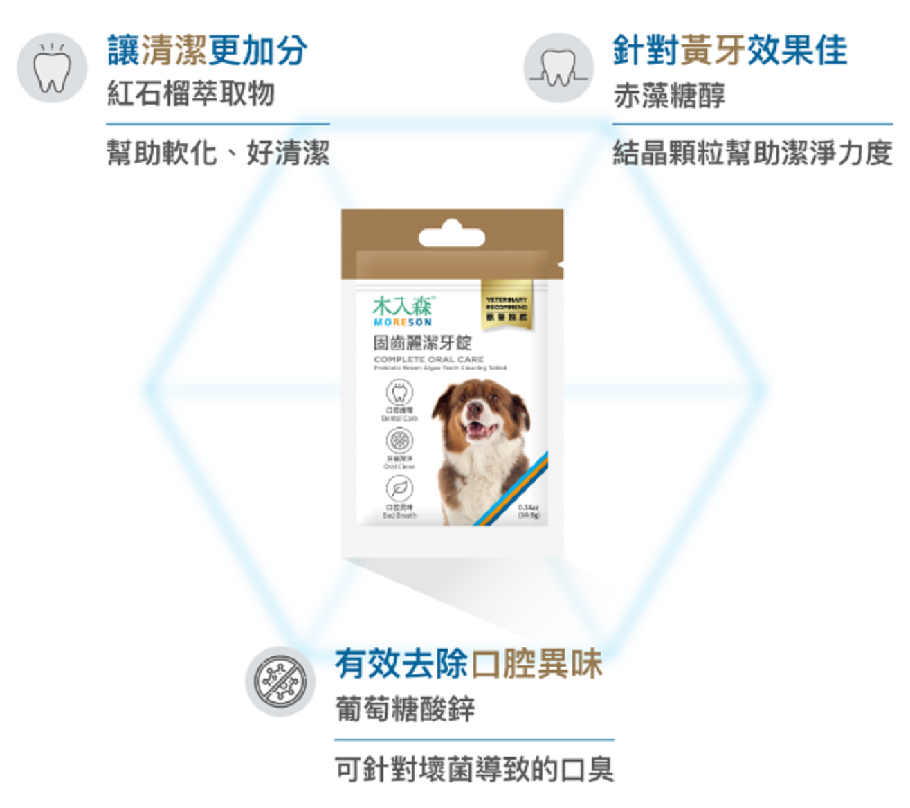 【木入森 MORESON 犬貓固齒麗】潔牙水 潔牙錠 牙齒清潔 口臭 台灣 貓 狗 清潔用品