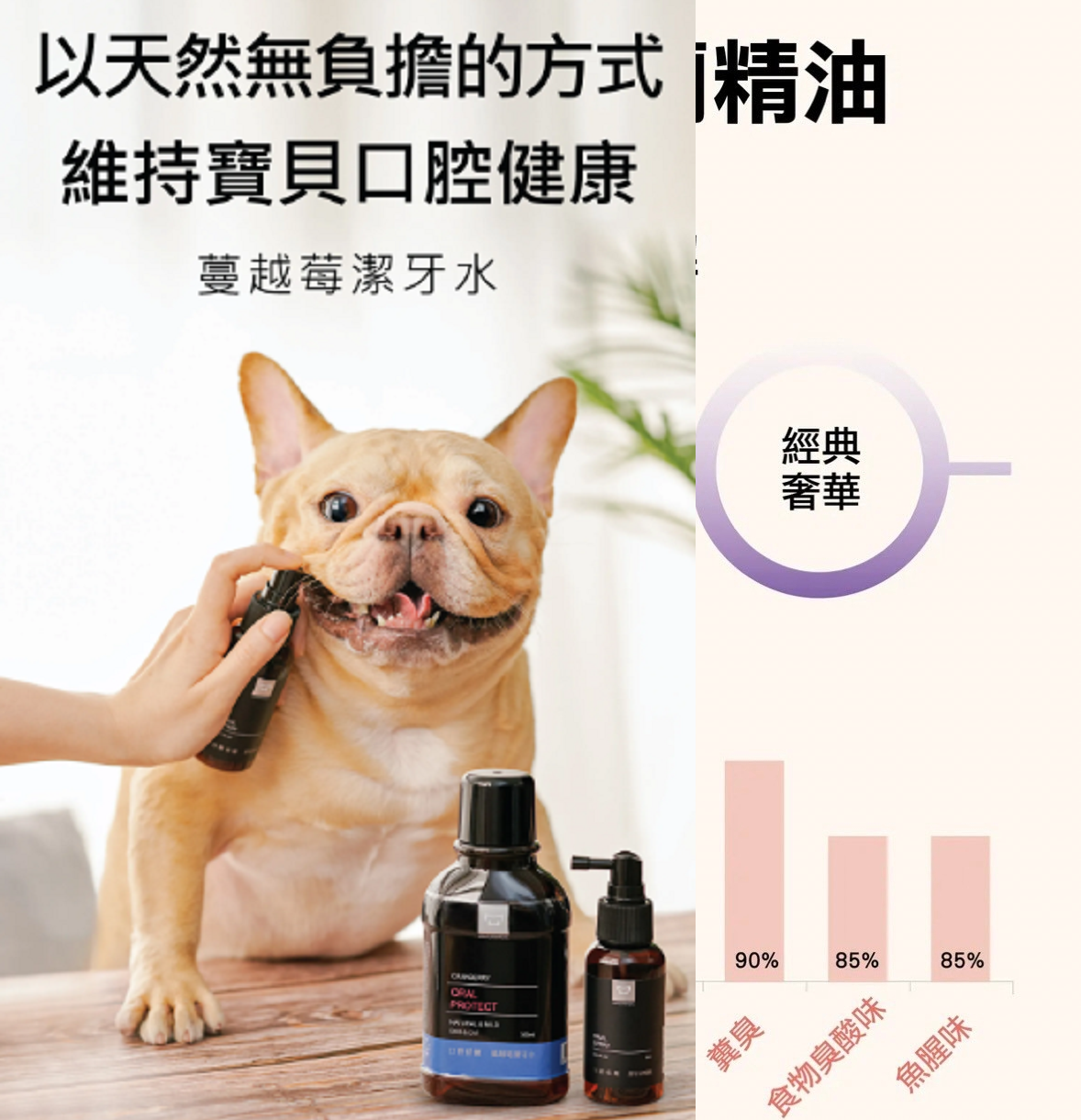 【水魔素 WaterMagic 口腔護理潔牙水】除臭 消臭 口臭 潔牙 清潔 台灣 貓 狗 用品