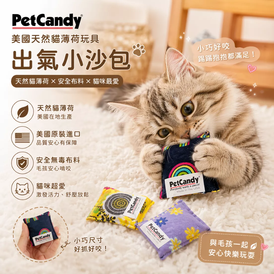 【沛蒂 PetCandy 出氣小沙包】松鼠 方形 抱枕 造型 貓薄荷 抱枕 貓草 美國 貓玩具 貓 玩具