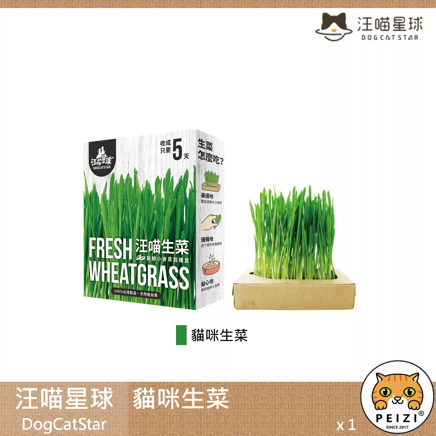 【汪喵星球 DogCatStar 貓咪生菜】小麥草 貓草 貓薄荷 貓零食 貓 零食