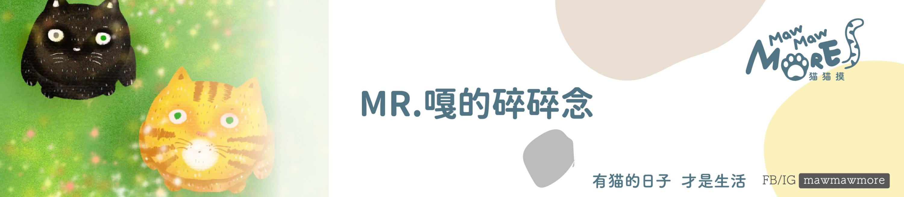 Mr.嘎的碎碎念