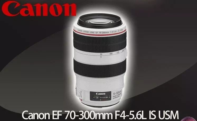 Canon EF 70-300mm F4-5.6L IS USM 公司貨 無卡分期