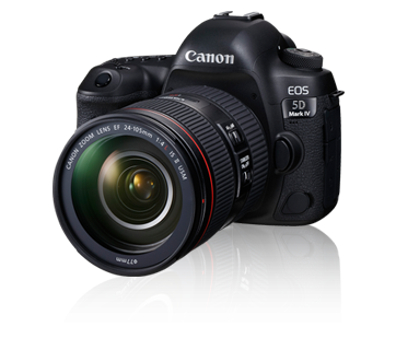 Canon EOS 5D Mark IV 24-105mm f/4L II 單鏡組 公司貨 無卡分期