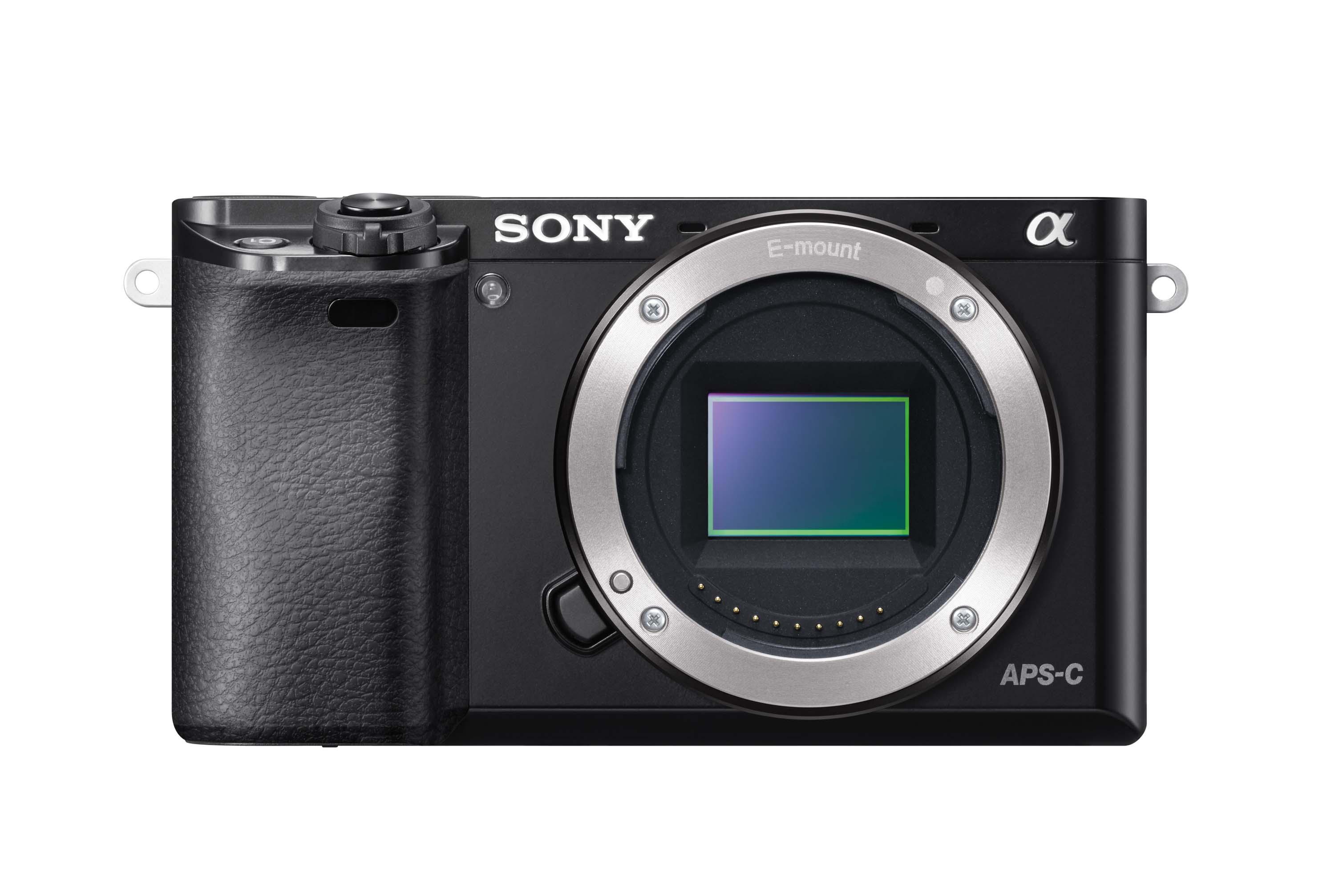 Sony α6000Y (ILCE-6000/SELP1650/SEL55210)公司貨 無卡分期