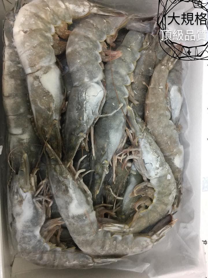 海洋娜海鮮魚品漁港進口產地貨物活凍直送港口馬來西亞野生新鮮大白蝦