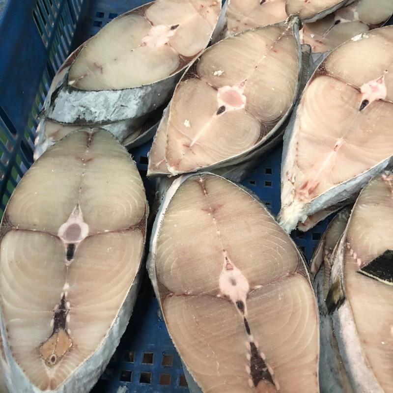 海洋娜海鮮魚品手釣野生印尼土魠魚無洞康式馬加活凍直送港口新鮮現切