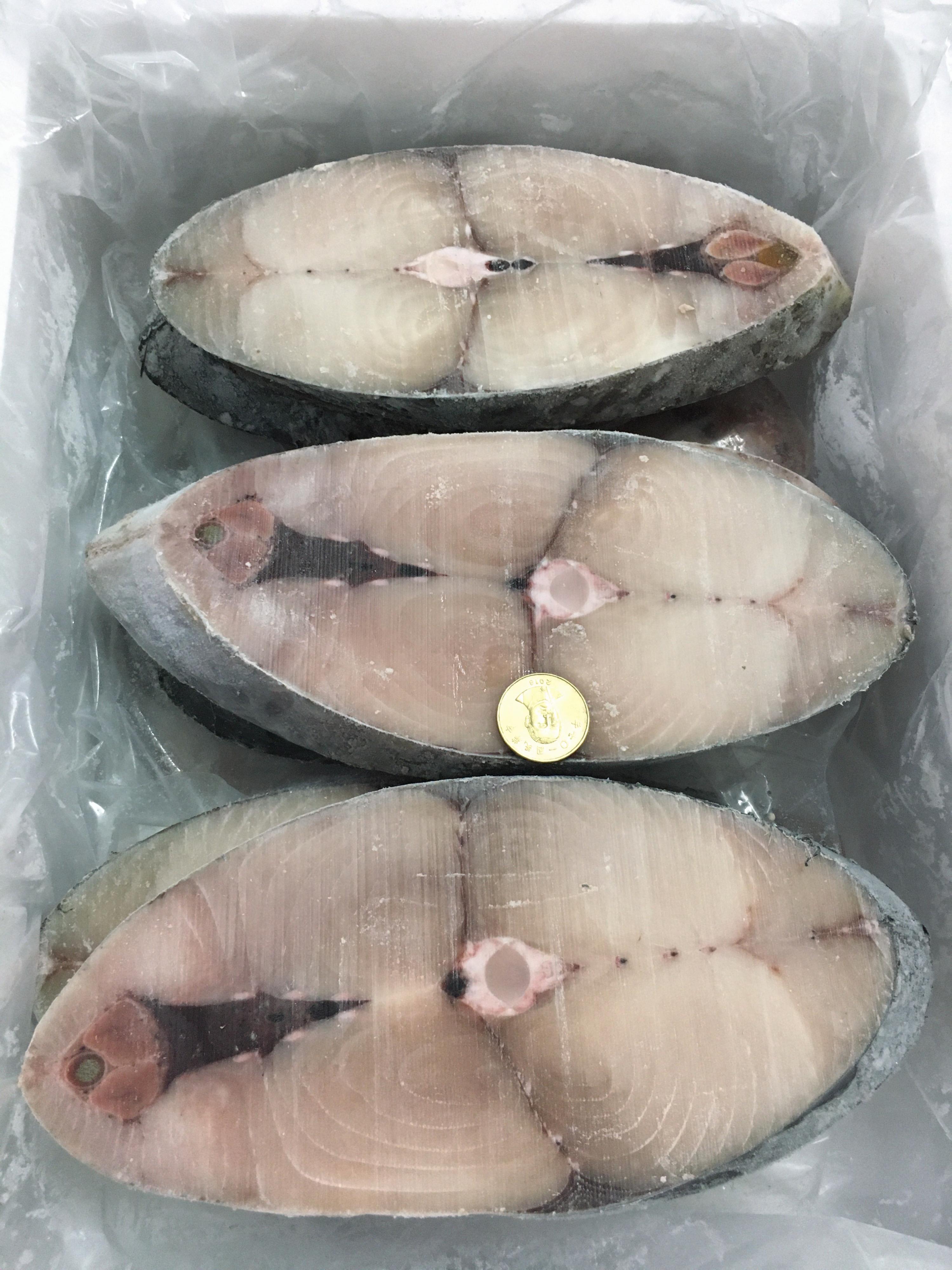 海洋娜海鮮魚品手釣野生印尼土魠魚無洞康式馬加活凍直送港口新鮮現切