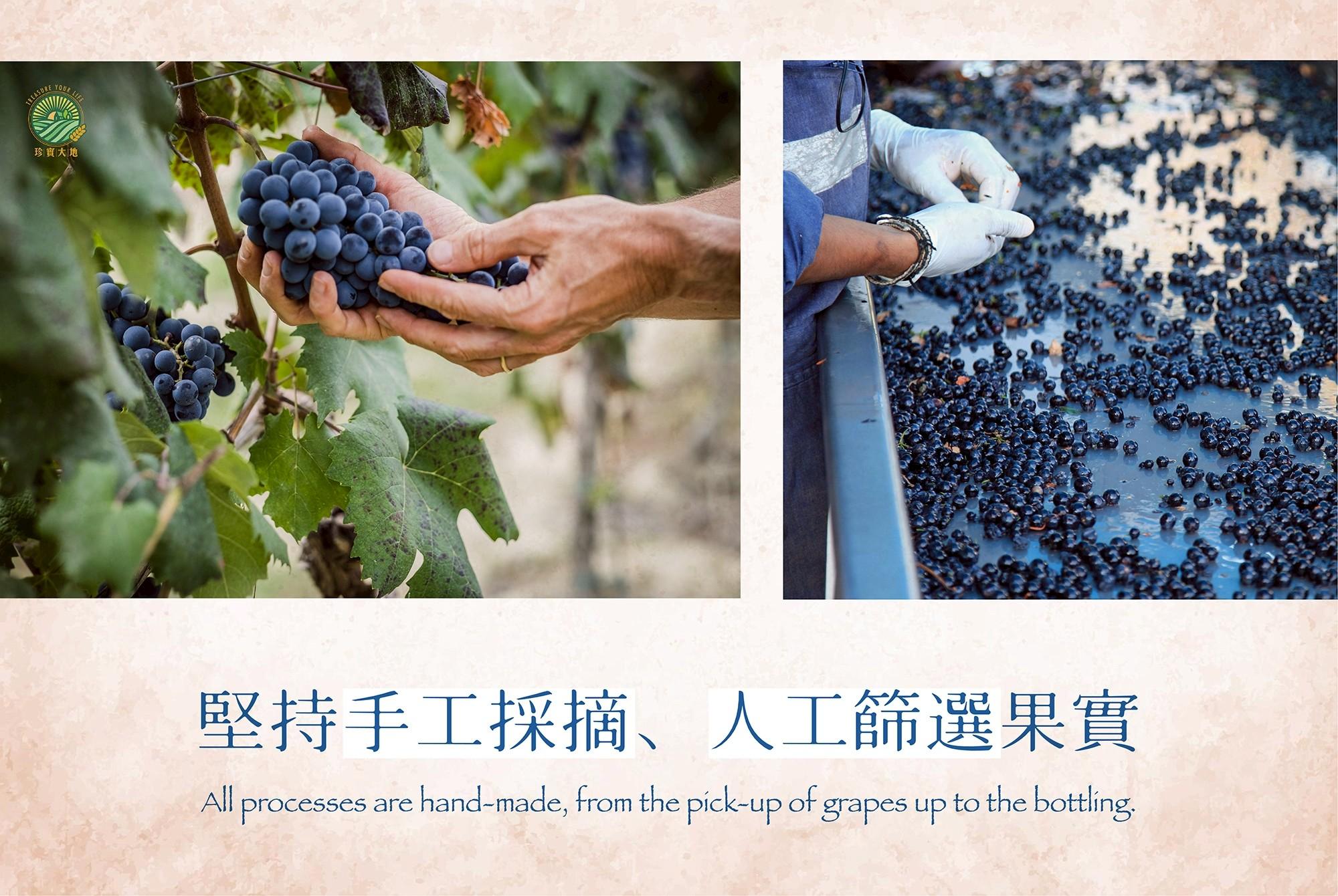 老橋‧IGP摩德納巴薩米克葡萄醋(2桶)