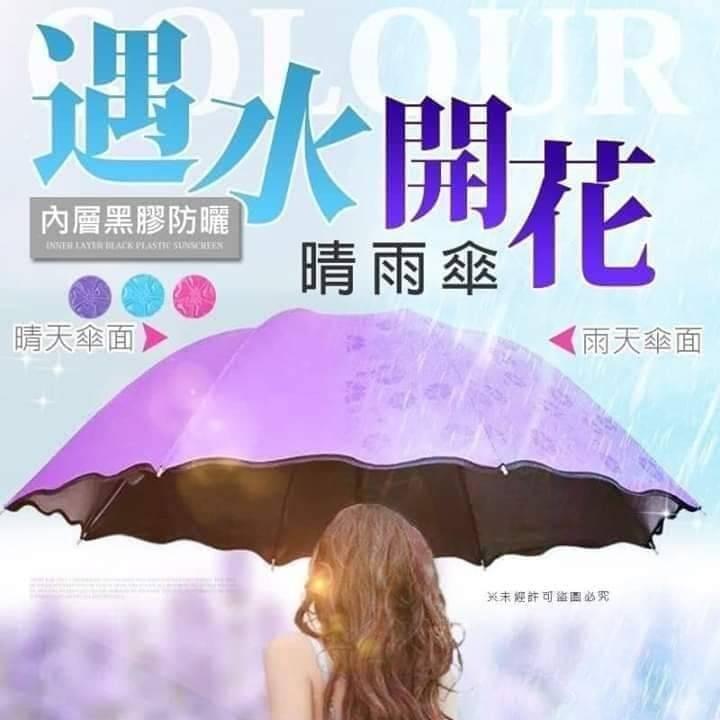 『遇水開花晴雨傘』