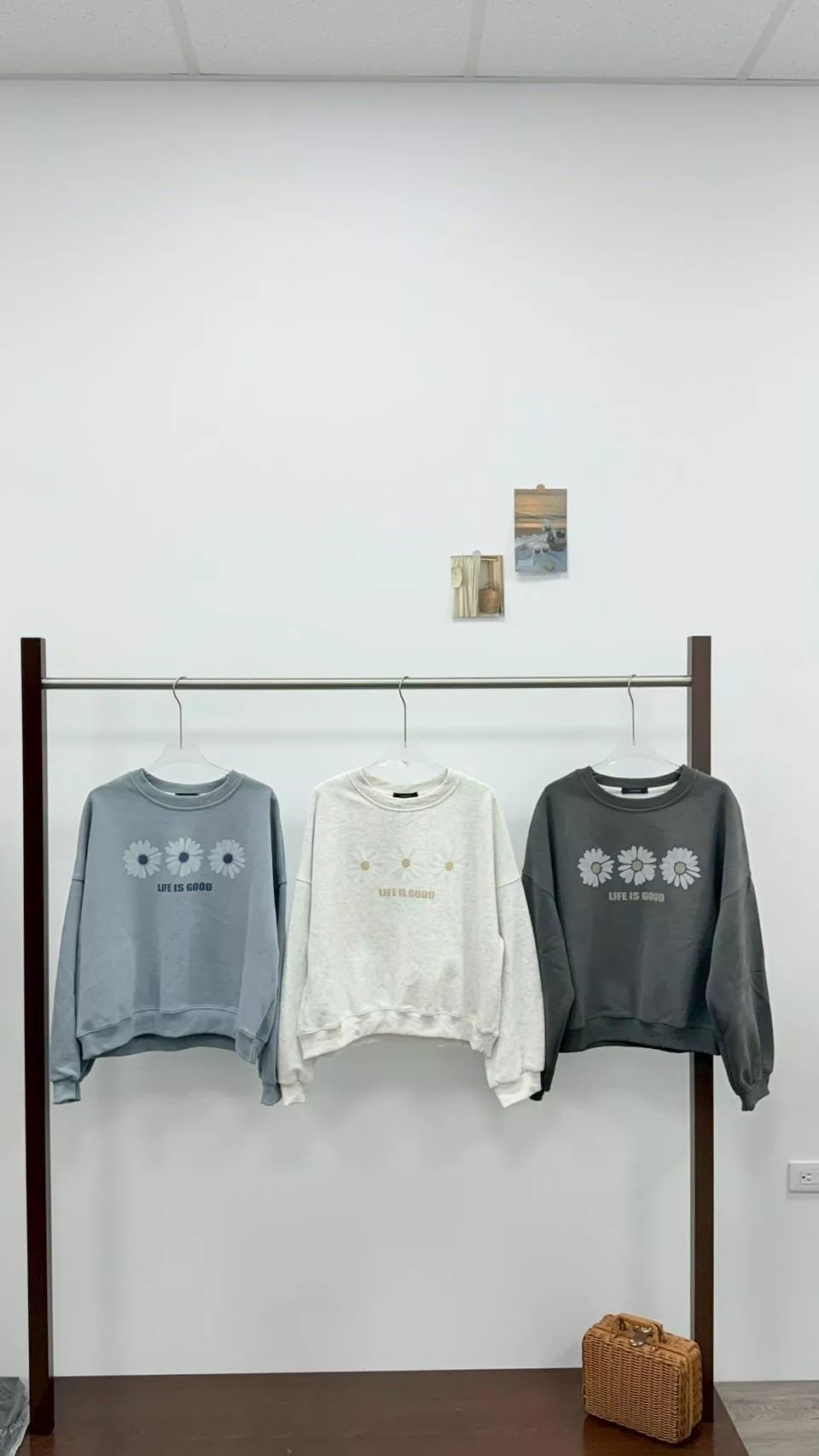 小雛菊短版大學T 3color