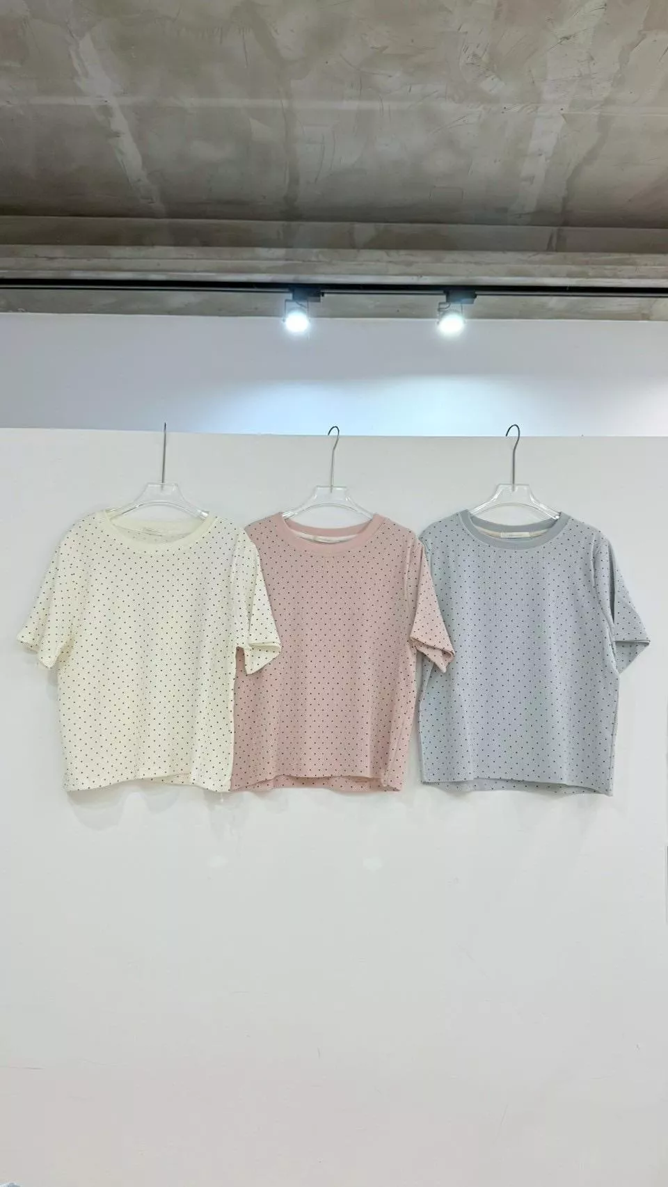 波點圓領上衣/打底 3color