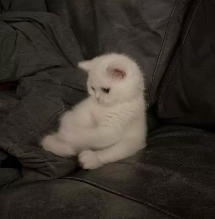 客訂單（勿亂下單）