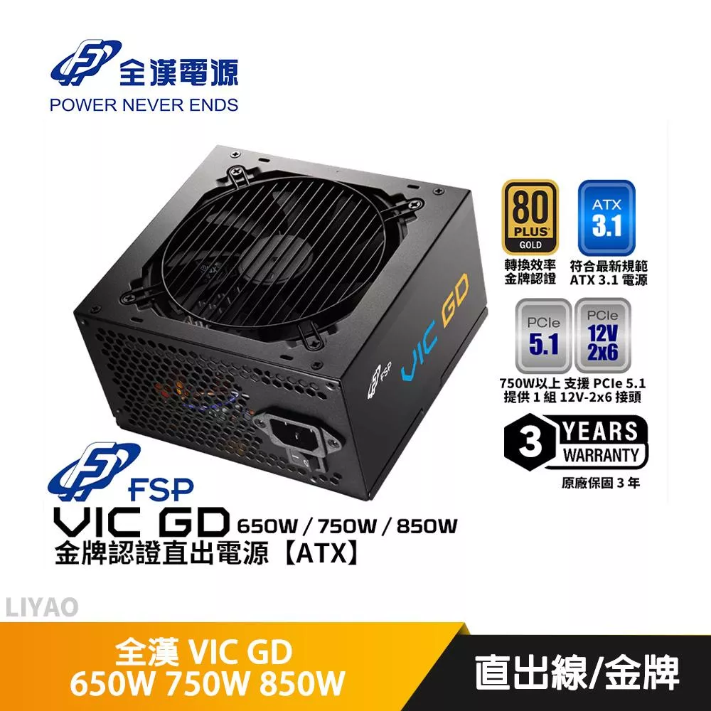 FSP全漢 VIC GD 650W 750W 850W【金牌直出線電源】ATX3.1