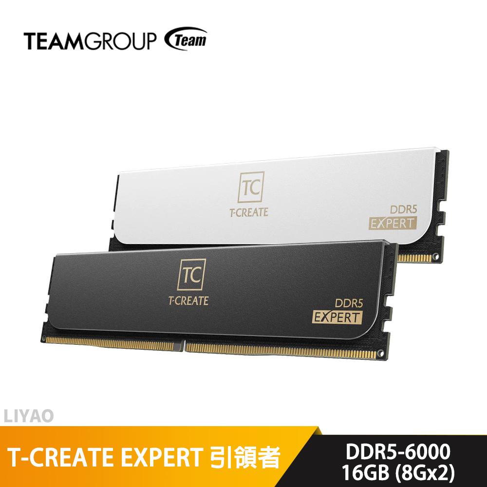 TEAM十銓 T-CREATE EXPERT 引領者 DDR5-6000 16GBx2 黑 記憶體