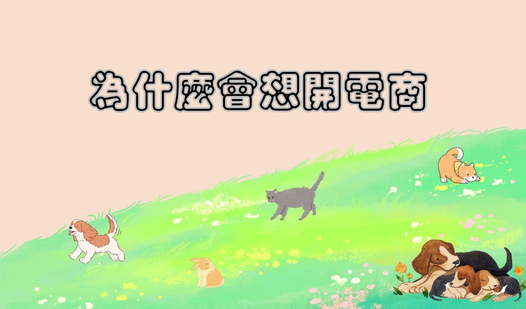 為什麼會想開電商